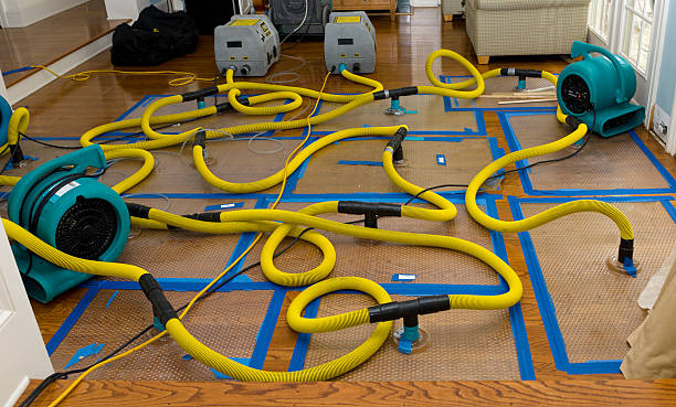 Professional Crawl Space Water Removal technician working in Lincoln, NH